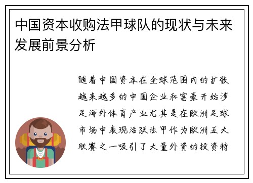 中国资本收购法甲球队的现状与未来发展前景分析